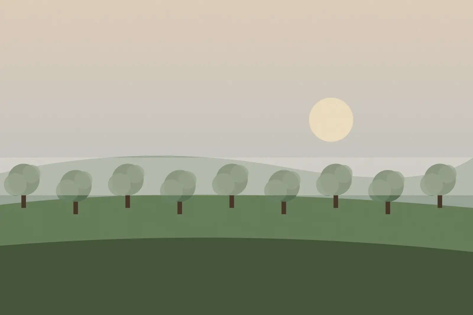 Morning mist over the fields