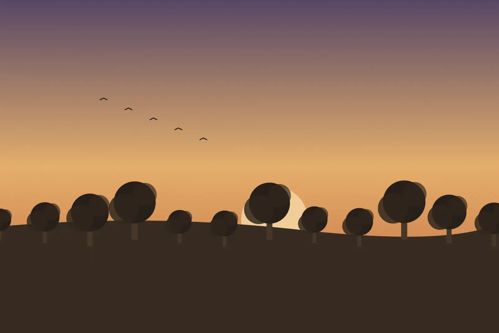 Sunset over the fields